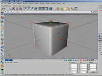 3D plugin MoGraph