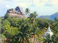 ostrov Sri Lanka