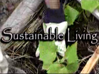 Udržitelný život