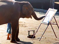 Autoportrét slona
