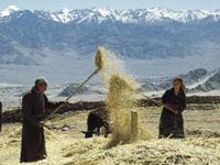 Dávné budoucnosti - Poučení z Ladakhu 