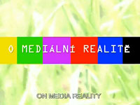O mediální realitě