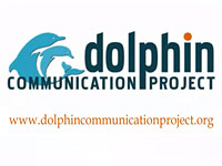 Delfíni: Rozluštění šifry