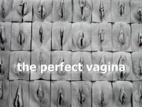 Perfektní vagína