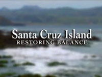 Santa Cruz: Obnovení rovnováhy