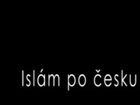 Islám po česku