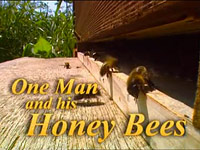 O včelách a lidech