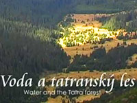 Voda a tatranský les
