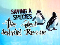 Velká tučňáková záchrana