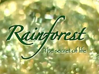 Deštné pralesy - tajemství života